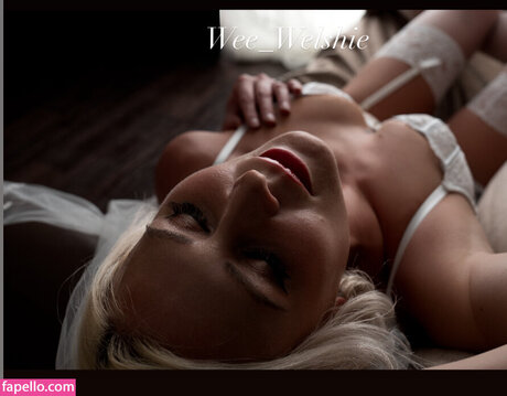 Wee welshie star beautiful img