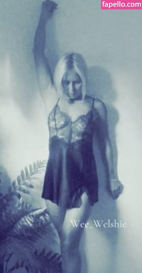 Wee welshie art pornstar gallery