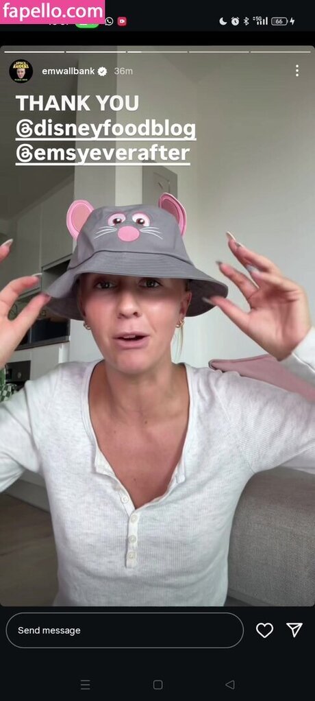 emwallbank perfect model archive