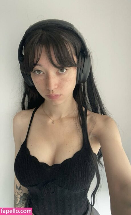 kaerisake model art image