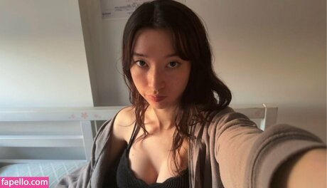 kaerisake best model image