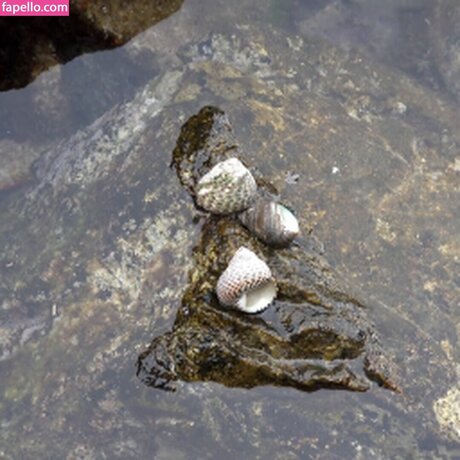 Girls HuntersBeauty porn star image