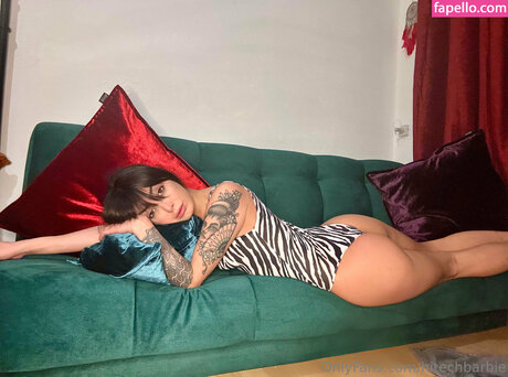 hitechbarbie star nudes image