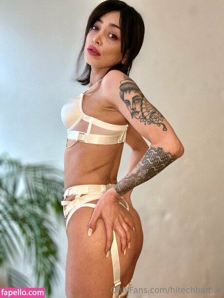 hitechbarbie pretty pornstar picture