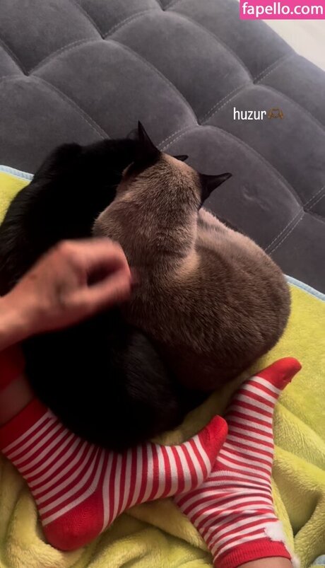 milf pussy onlyfans hot sexy image