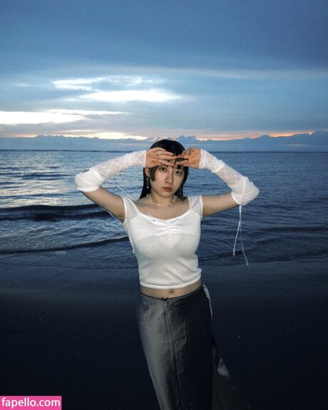 nianx1 nice star image