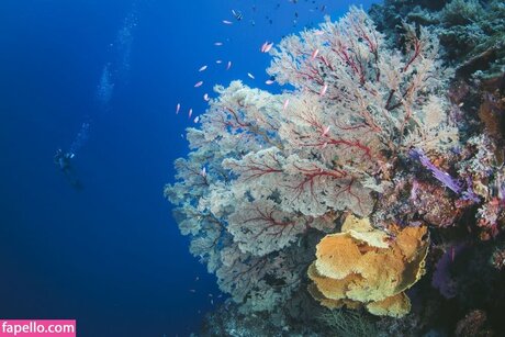 Jessica Segura pornstar pretty galleries