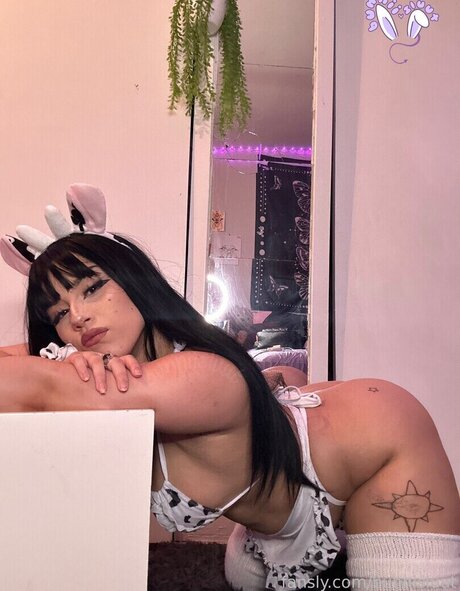 bunnisluut nice star photos