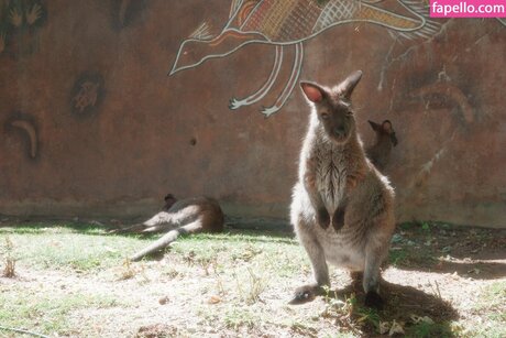 Ohkaylin model nude pic