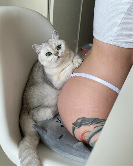 busty mom onlyfans sex galleries