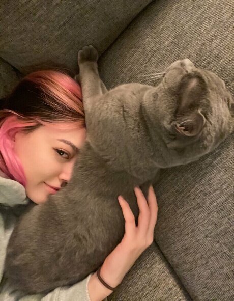 Sidsityttv sex model img