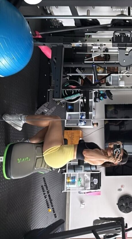 Alanalarana best model archive