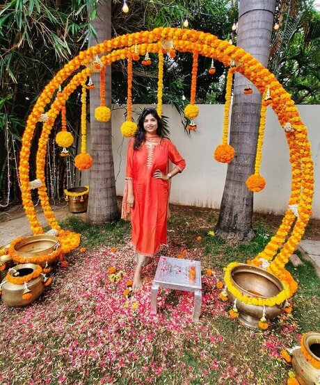 Tulika Snehil art star pictures