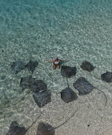 Nina Janova star hot img