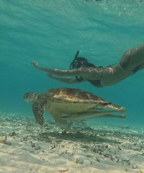 Nina Janova pretty actress photo