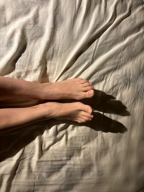 Futfeddish best star img