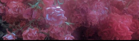 THE HOTTEST PAWG_ perfect star photos