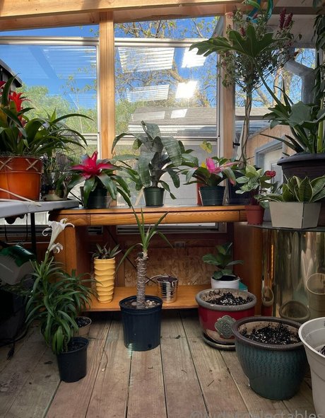 condom onlyfans sexy nude pictures