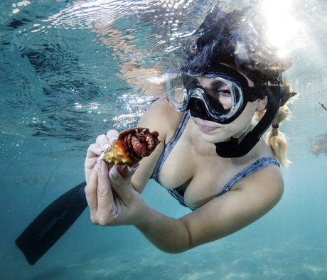 Gabby Nikolle star hd archive