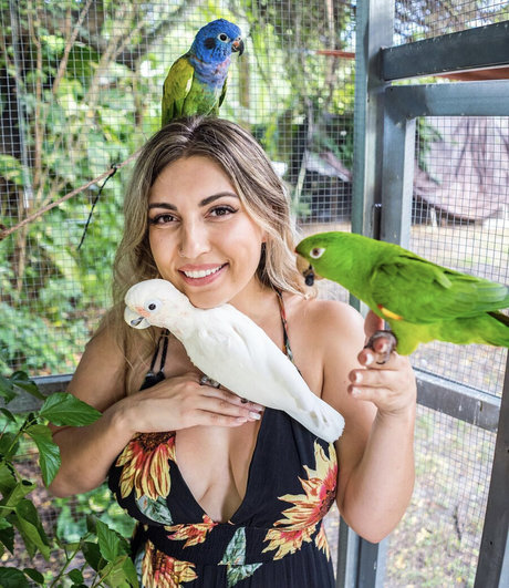 Gabby Nikolle star nude gallery