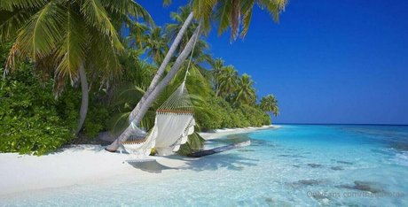 stepsister onlyfans hd gallery