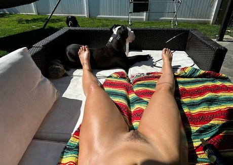 aidrafoxx erotic star archive