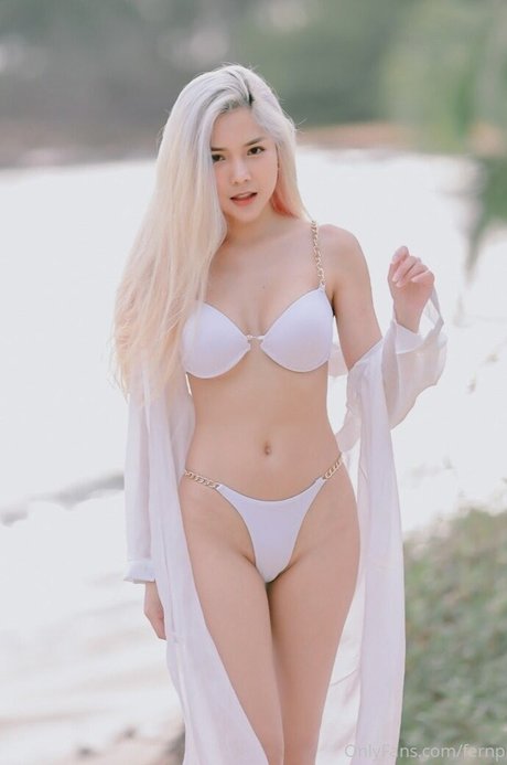 baibaifern nice star archive