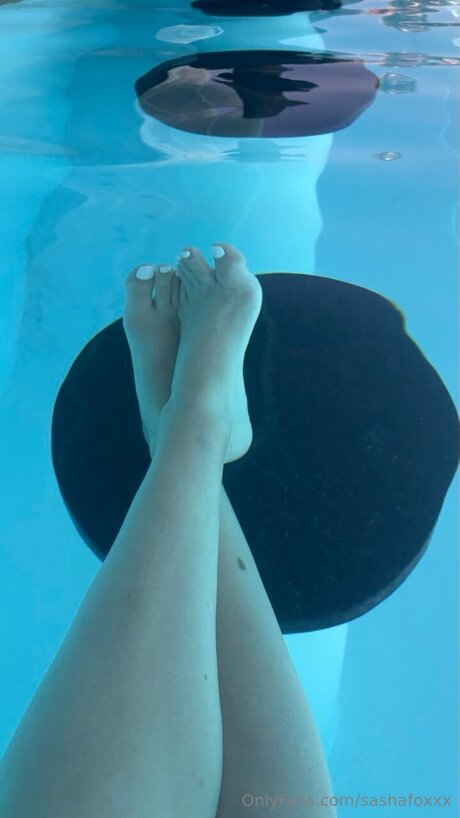 sashafoxxx pretty pornstar archive