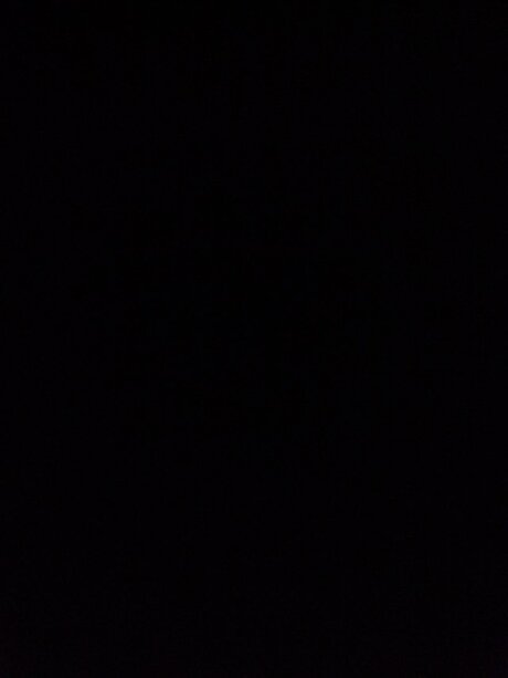 possum nude model photo