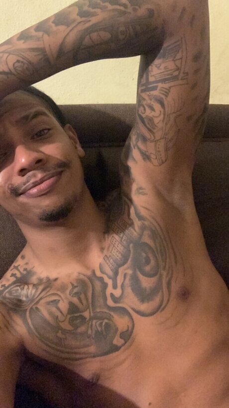 Sr Williams free model img