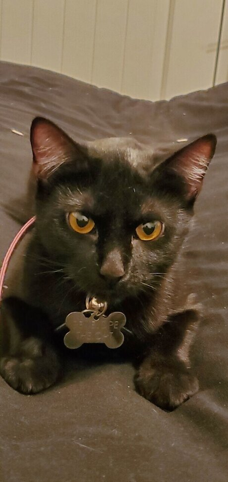 amateur dp onlyfans beautiful naked image