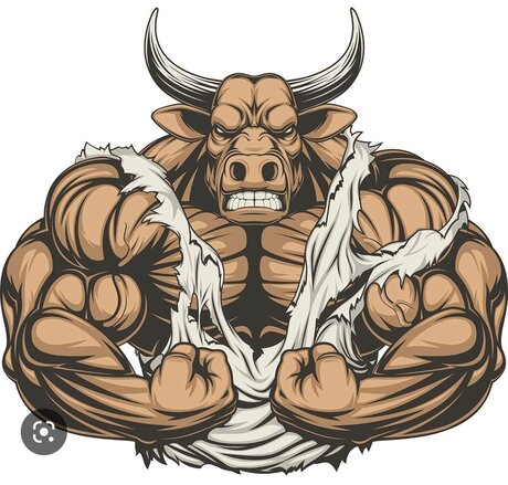 Beefybaltbear exclusive star galleries