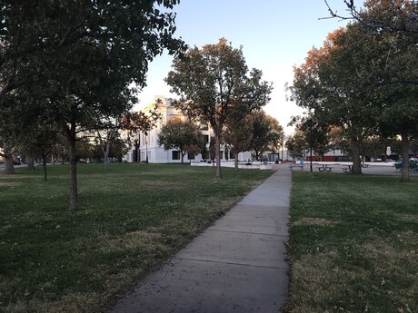 reverse cowgirl onlyfans free nude galleries