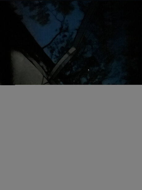 Ren amp lt3 erotic actress gallery