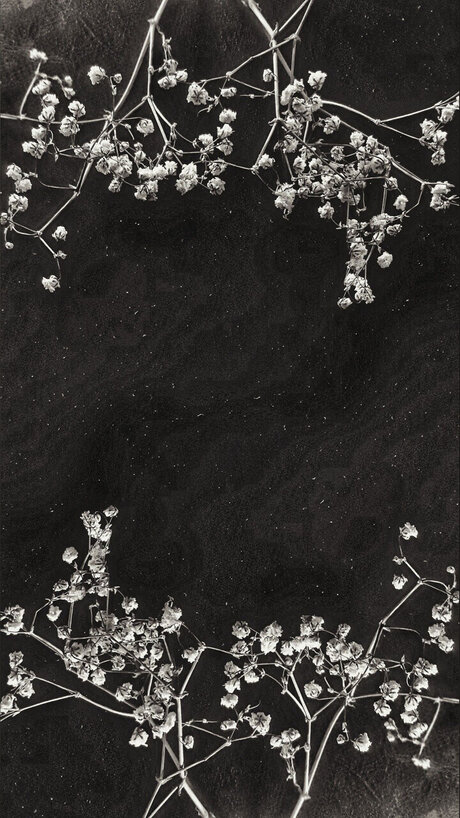 Cendre_ nude actress images