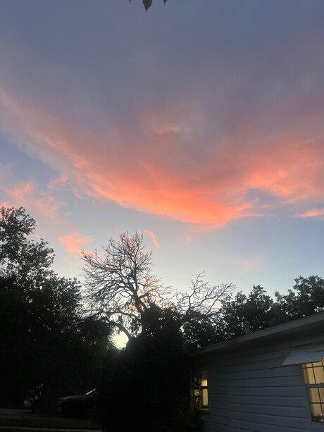 Karma James star art pics