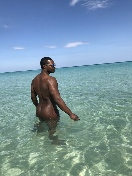 Btmfs model hd archive