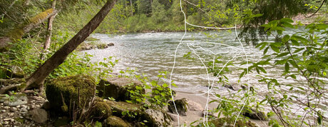 Bethany Harper top actress gallery