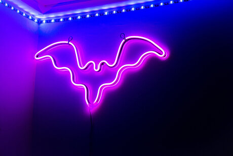 black girls onlyfans best archive