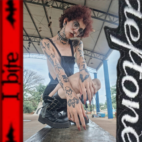 BatCat model free picture