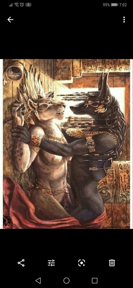 RassT pornstar best galleries