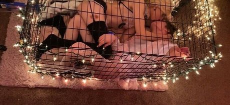 Cassie Coyote nude star galleries