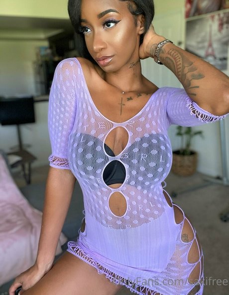 sakifree star hd galleries