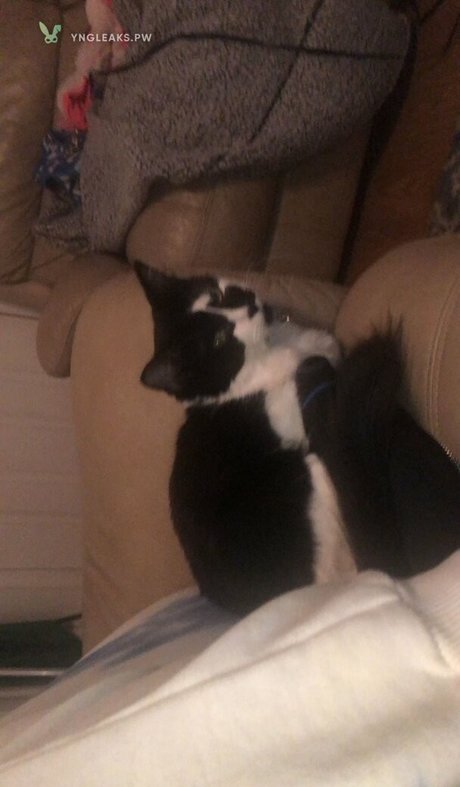 Vicky Escobar art star image