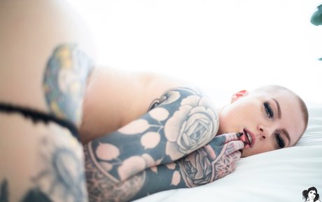 Sierhaus model high quality pic