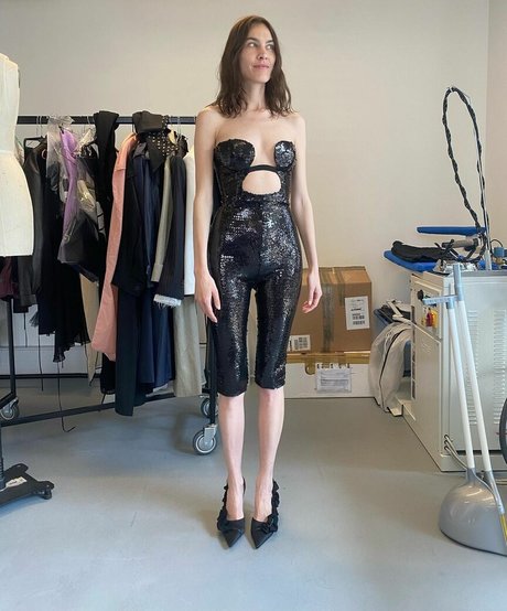 Alexa Chung nude star gallery