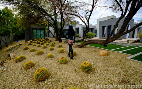 mayasinstress free model galleries