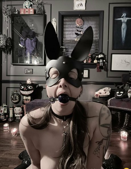 ripley1111 high quality pornstar pics