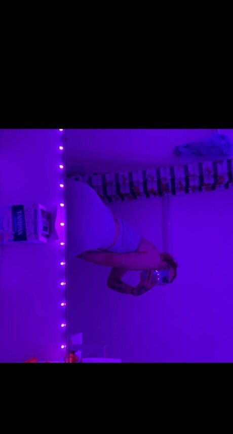 Taz star art picture