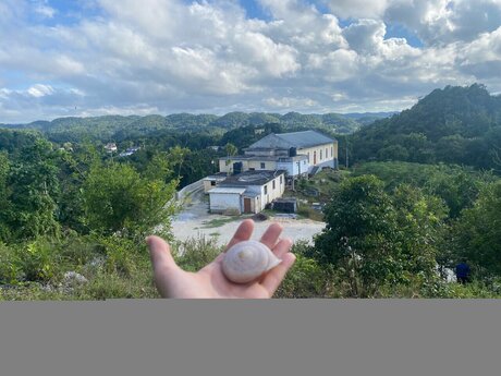 _h t g mpr_ star perfect pic